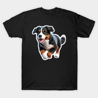 Appenzeller Sennenhund T-Shirt